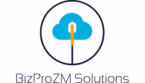 cropped bizpro.png
